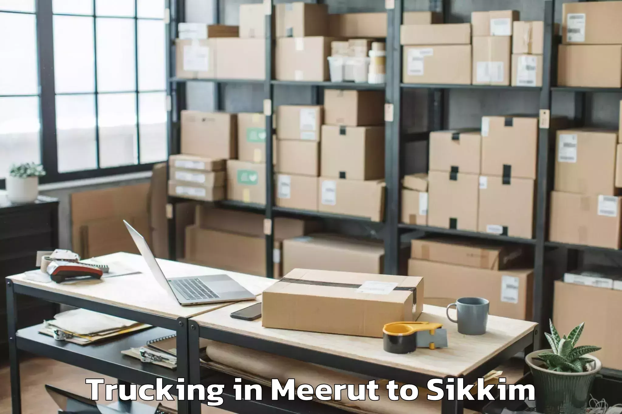 Trusted Meerut to Geyzing Trucking